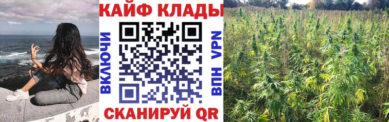 Купить наркотики Нальчик Кокаин  Меф мяу мяу  СК  ГАШ 