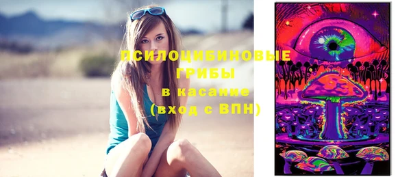 соль ск Приозерск