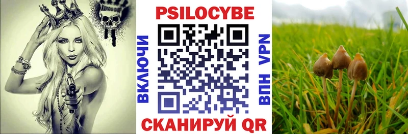 Галлюциногенные грибы ЛСД Нальчик