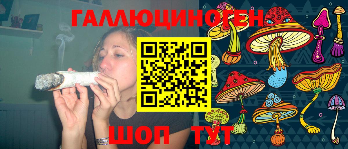 Галлюциногенные грибы GOLDEN TEACHER  Вход с VPN  Нальчик  Псилоцибиновые грибы MAGIC MUSHROOMS 