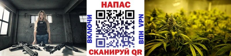 продажа наркотиков  Нальчик  Бошки Шишки индика 