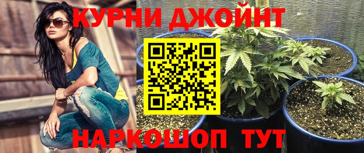 Канабис индика Нальчик